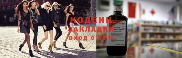 индика Новодвинск