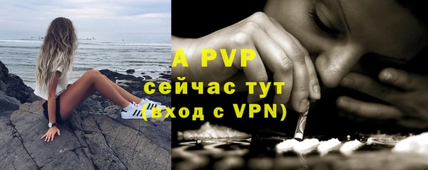 индика Новодвинск