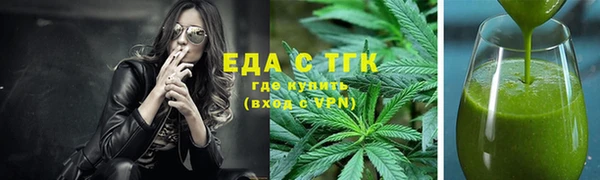 индика Новодвинск