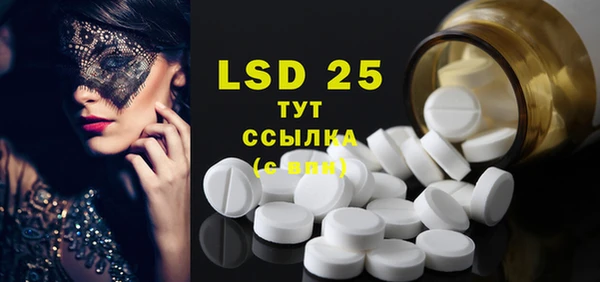 индика Новодвинск