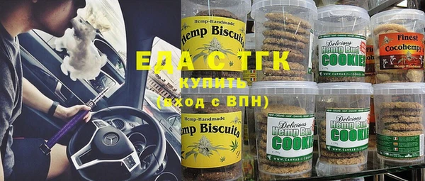 индика Новодвинск