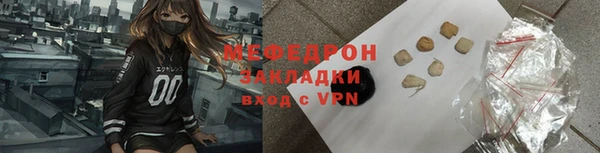 индика Новодвинск