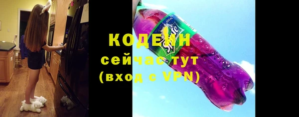 индика Новодвинск