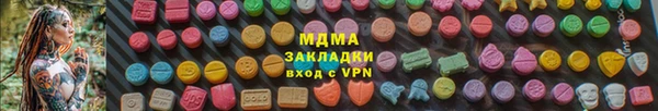 индика Новодвинск