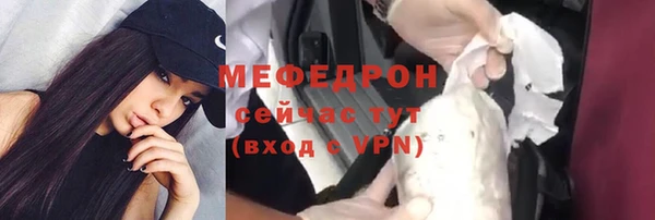 индика Новодвинск