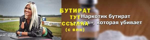 индика Новодвинск