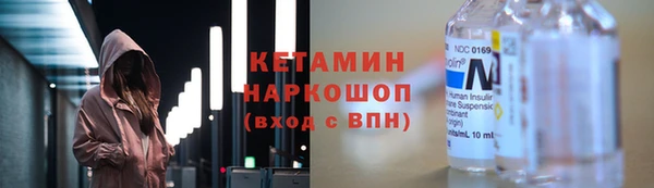 индика Новодвинск