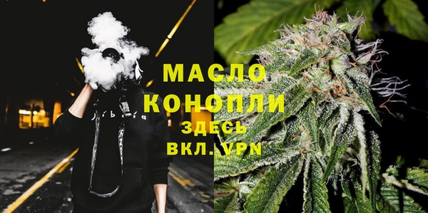 индика Новодвинск
