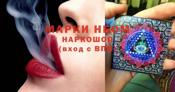 индика Новодвинск