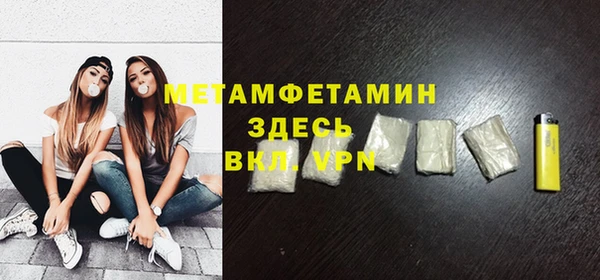 индика Новодвинск