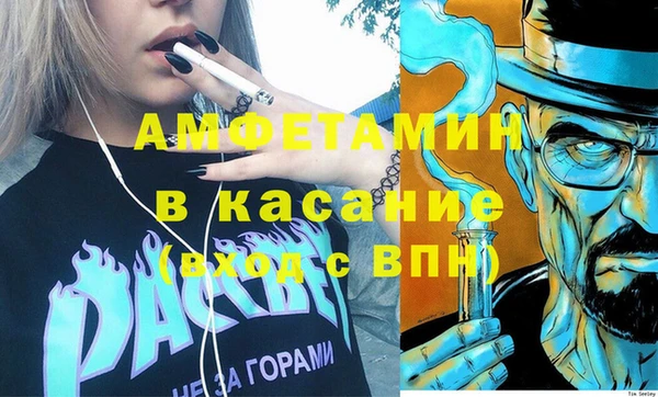 индика Новодвинск
