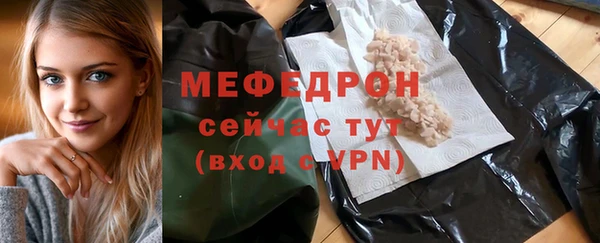 индика Новодвинск