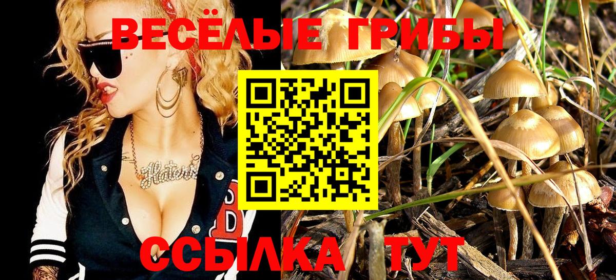 Псилоцибиновые грибы GOLDEN TEACHER Астрахань