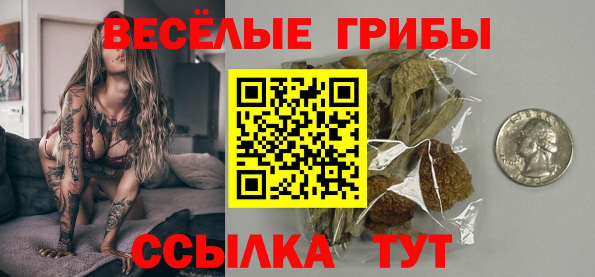 Псилоцибиновые грибы MAGIC MUSHROOMS  Вход с VPN  Псилоцибиновые грибы Magic Shrooms  Астрахань 