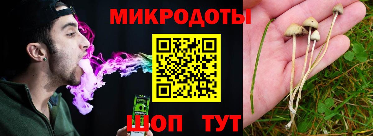 Псилоцибиновые грибы Cubensis Астрахань